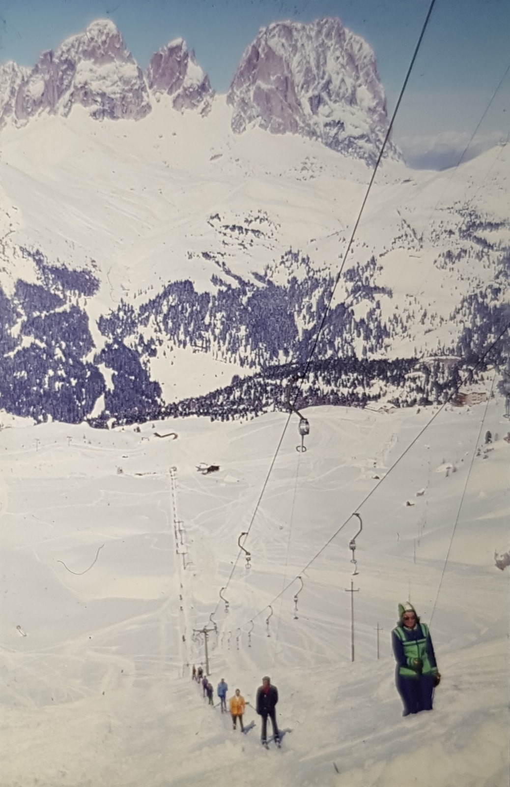 Kurzbügler-Teller mit Langkofelgruppe im Hintergund