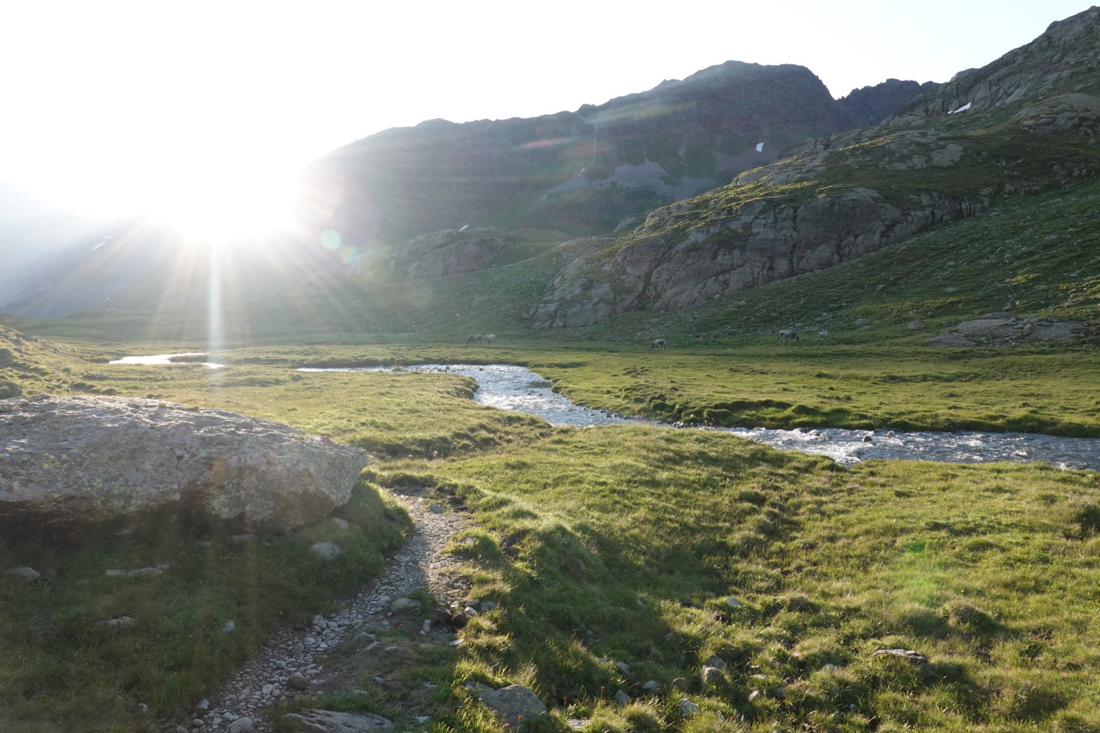 Krummgampental Anfang