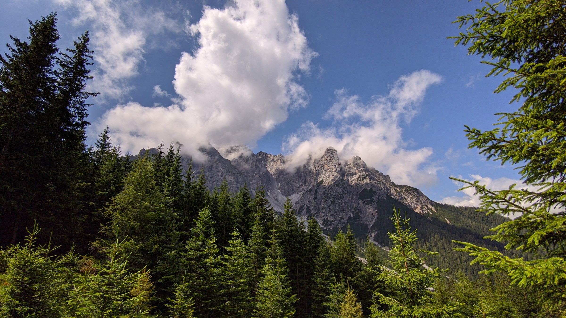 2020-07-26 11-41-19.jpg