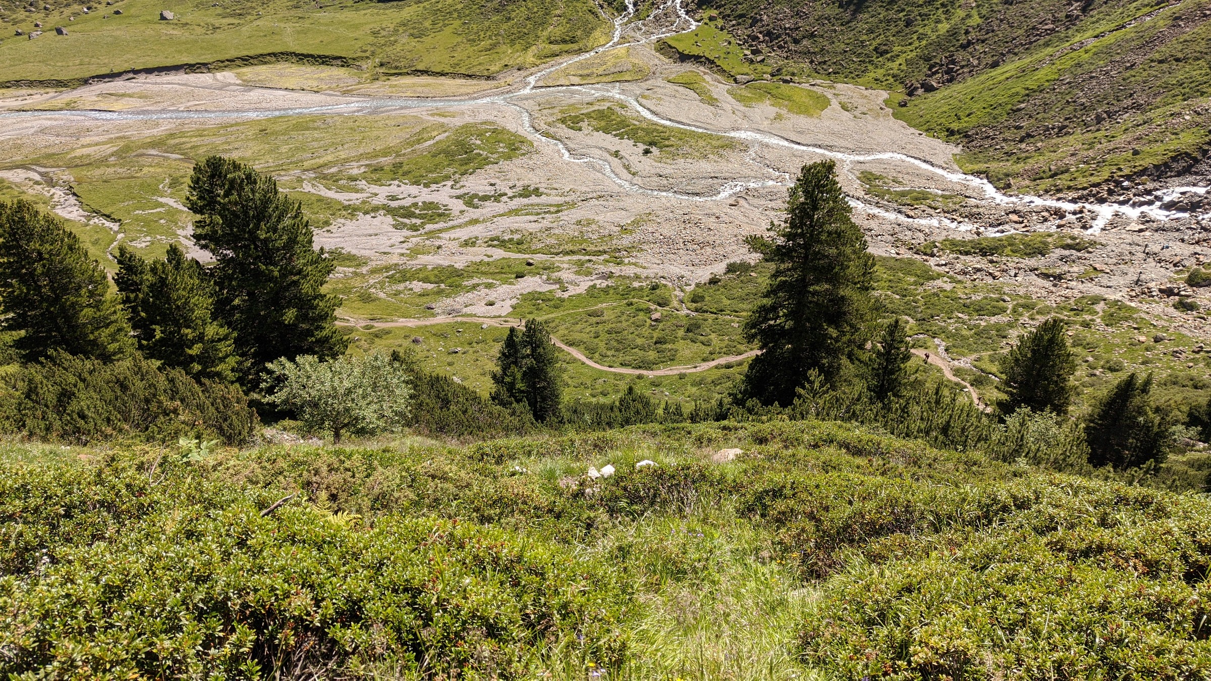 2020-07-27 11-16-22.jpg