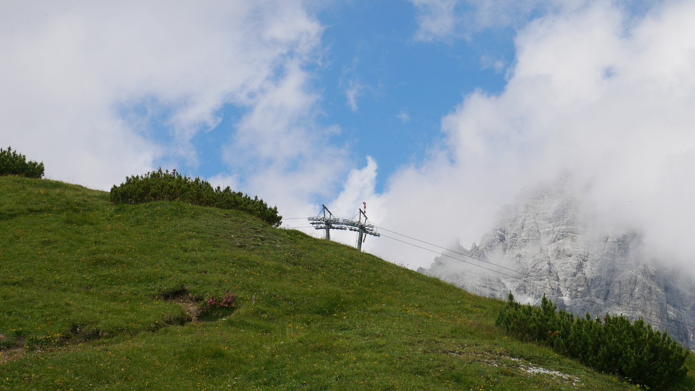 2020-07-29 10-47-15.JPG