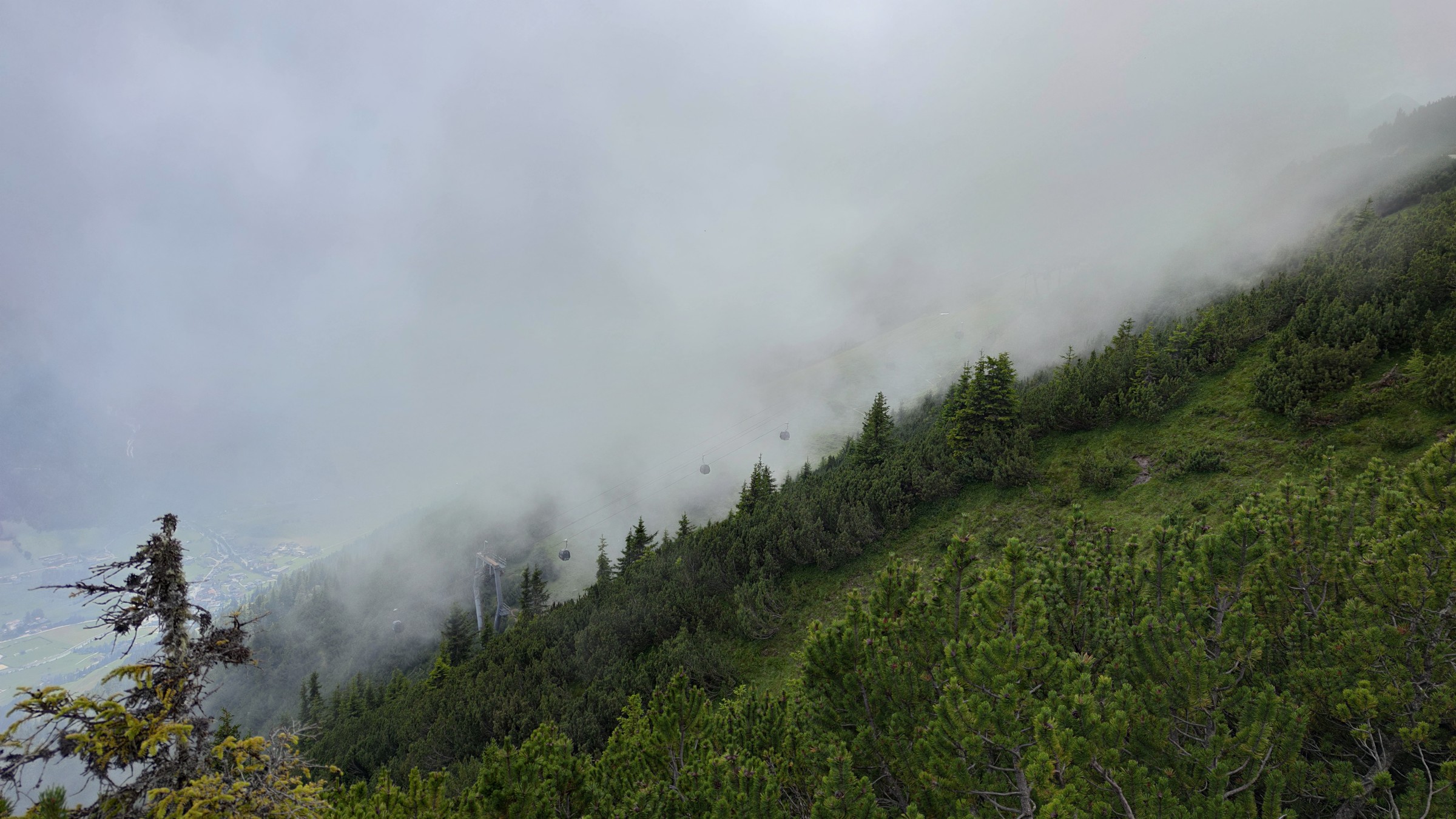 2020-07-29 13-10-56.jpg