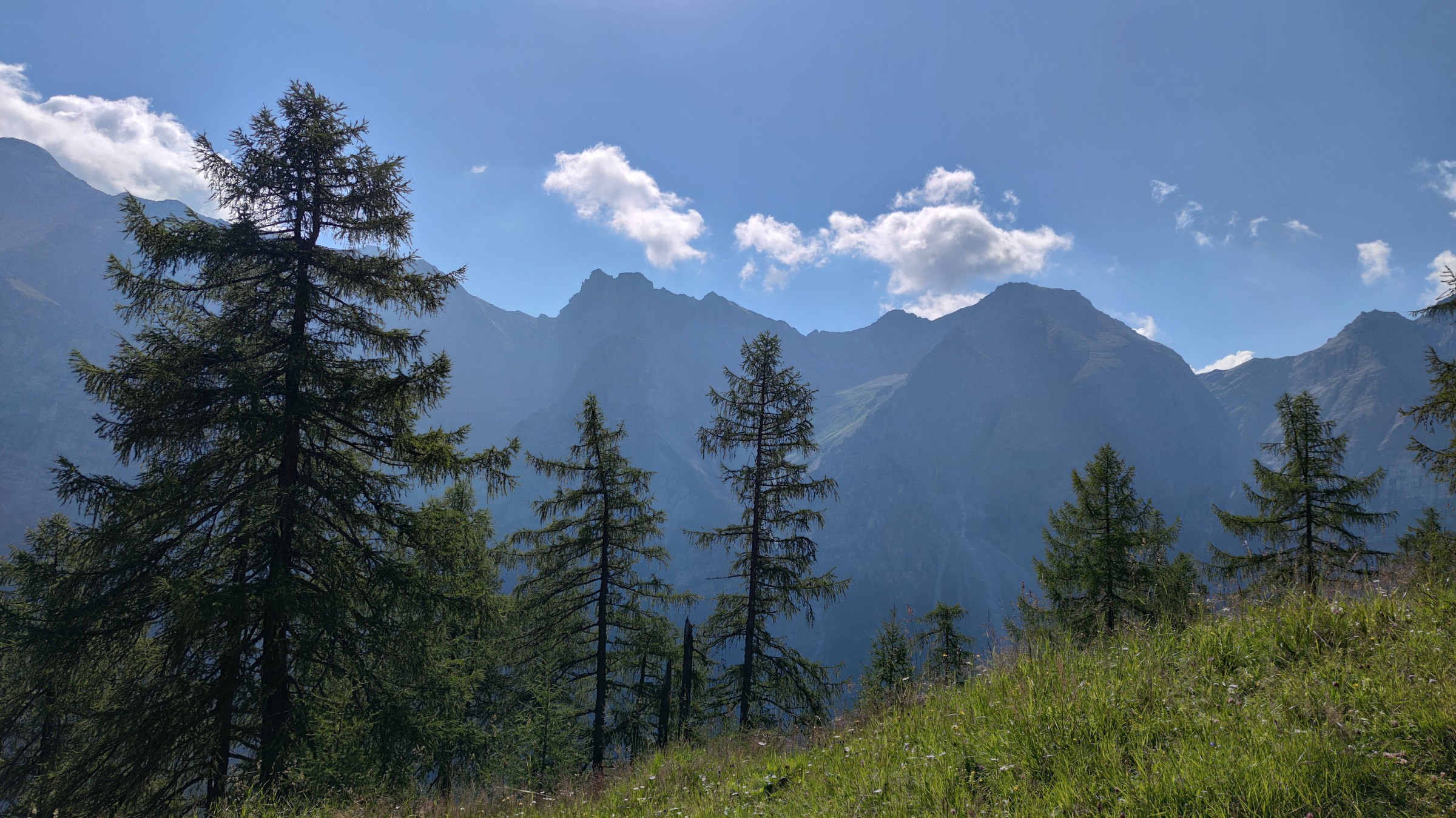 2020-07-30 10-10-12.jpg