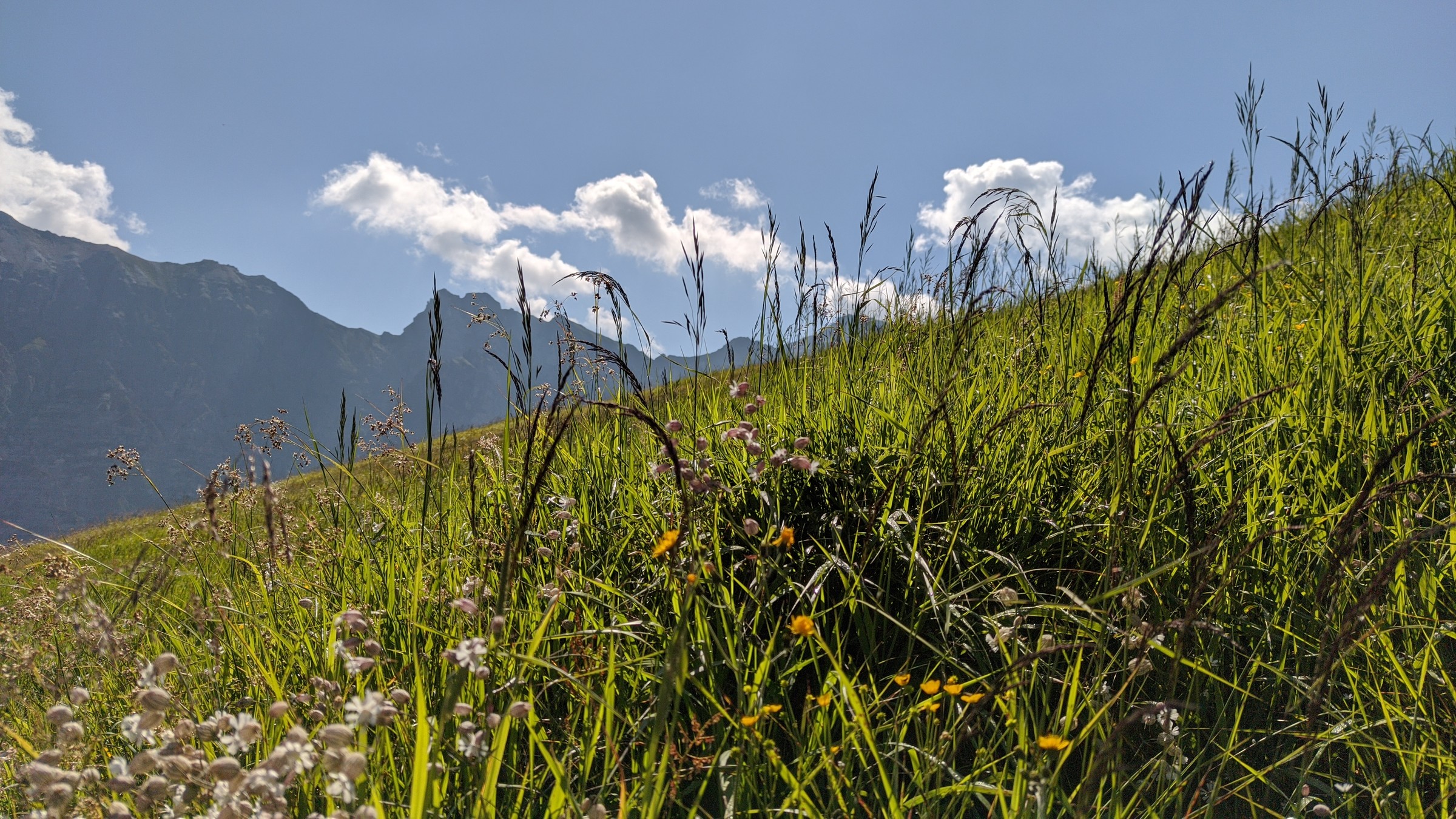 2020-07-30 10-37-57.jpg