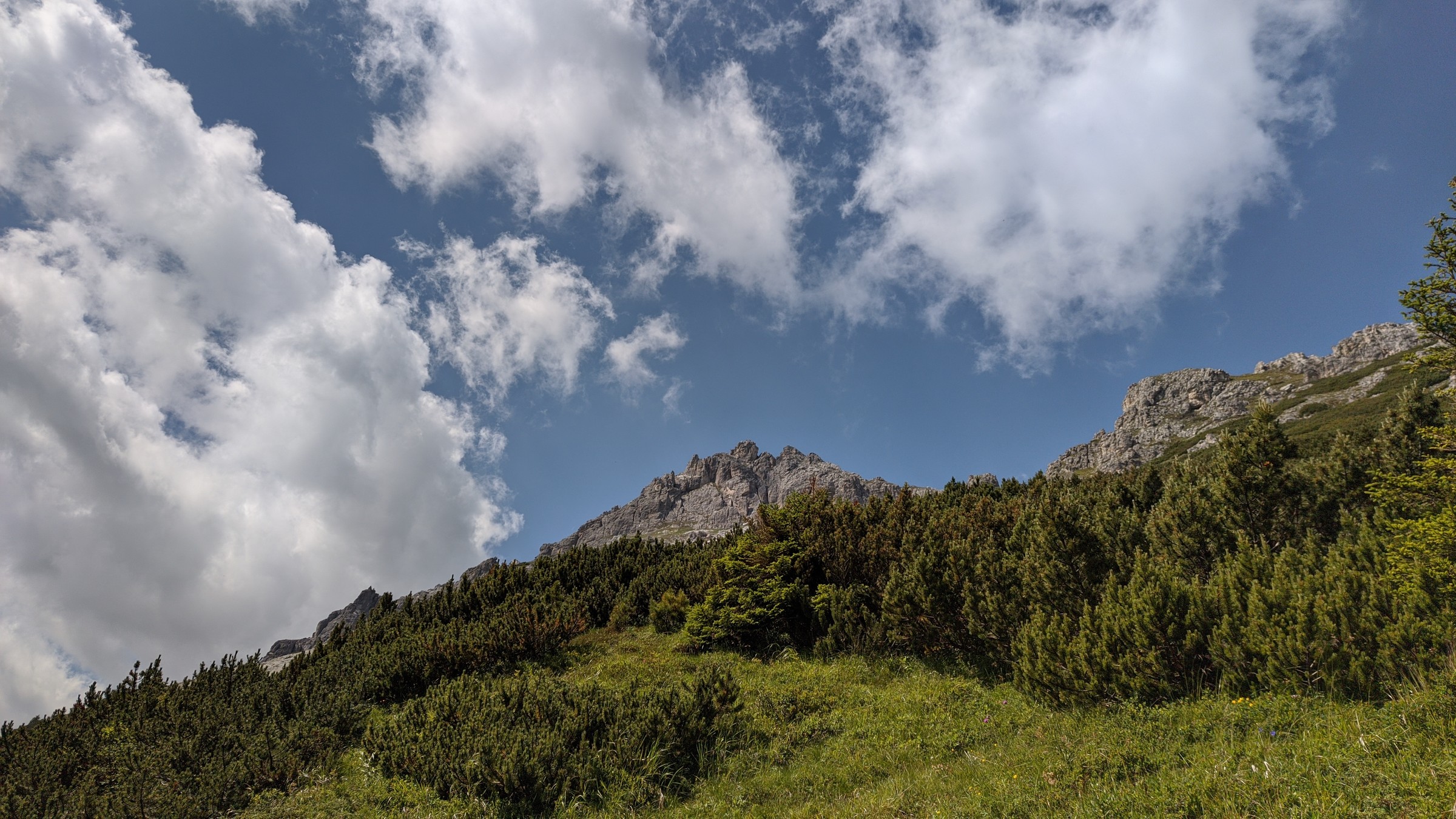 2020-07-30 12-02-29.jpg