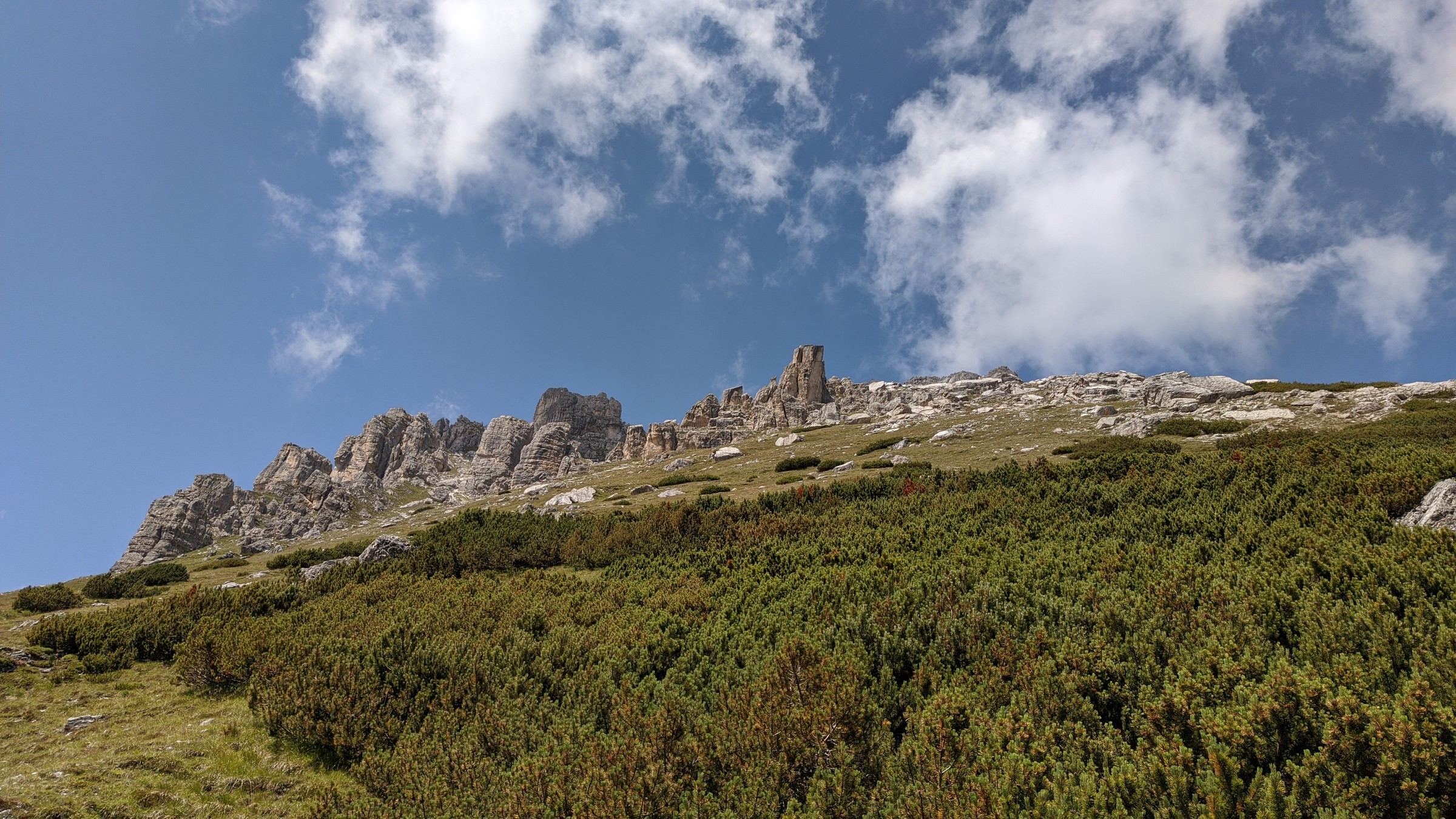 2020-07-30 12-35-04.jpg