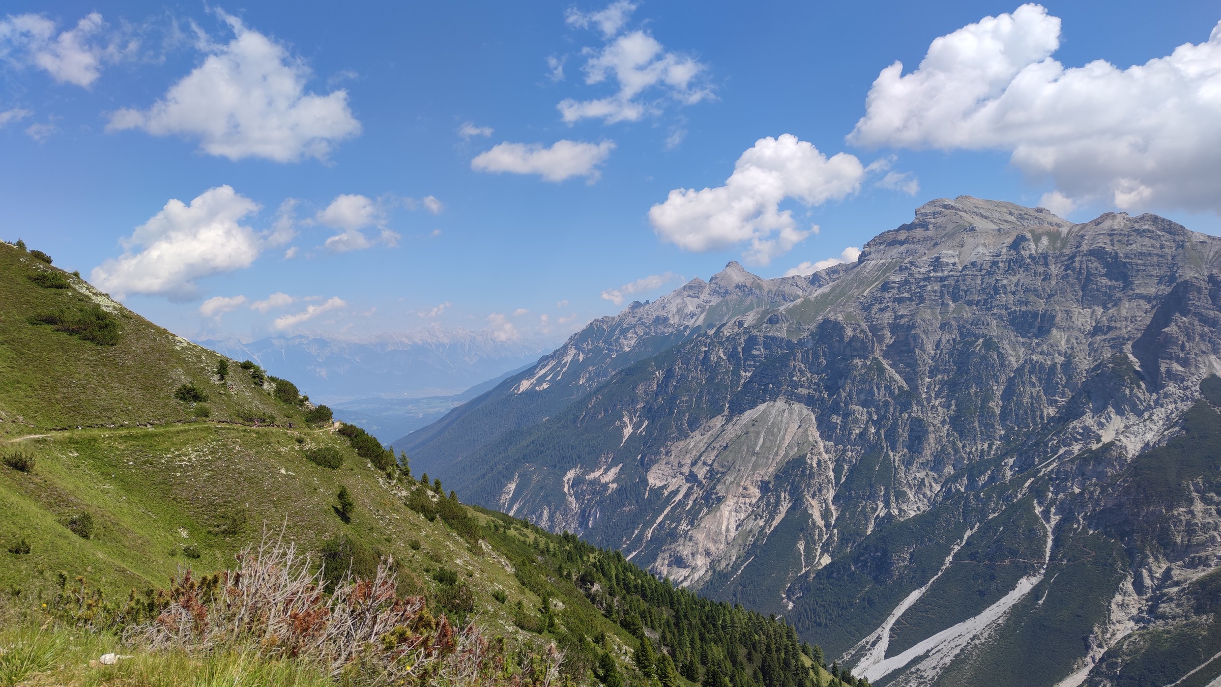 2020-07-30 12-22-44.jpg