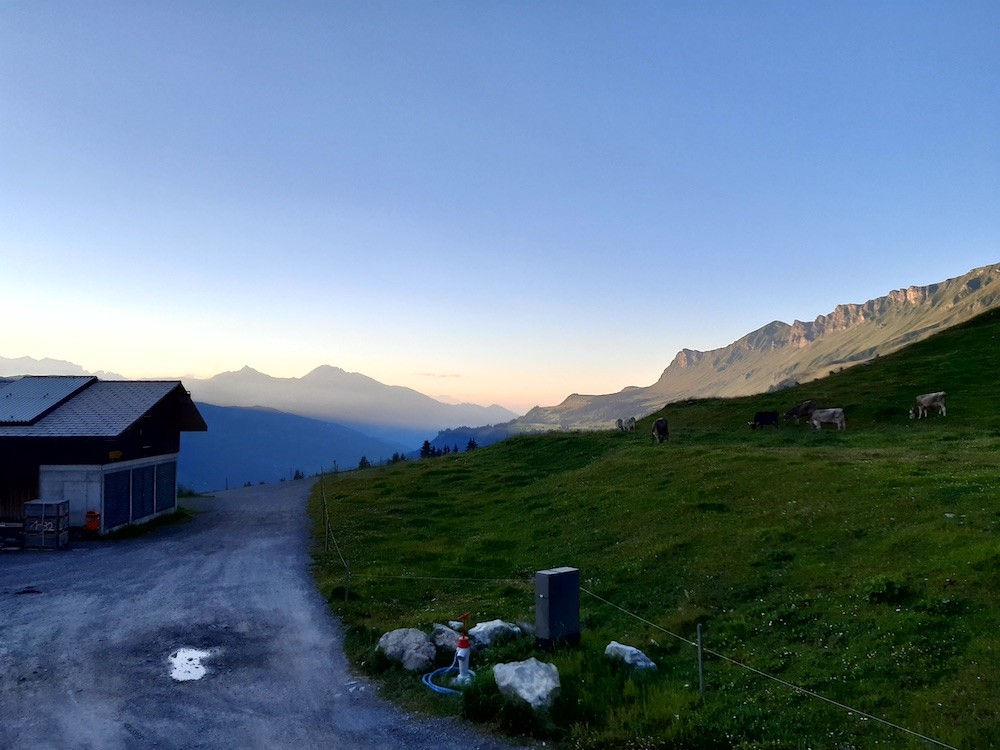 Abendstimmung auf Scharmoin
