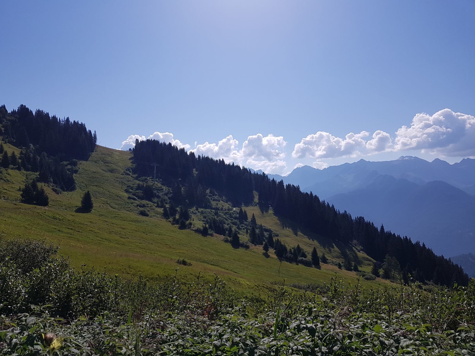 Blick zurück zur Königsleiteabfahrt