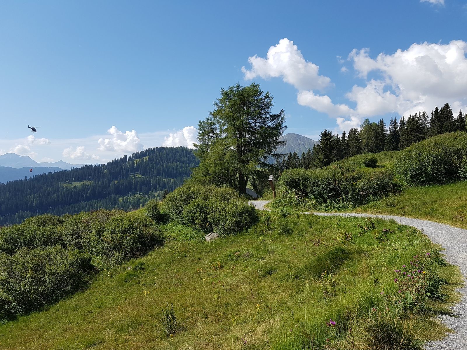 Mittig eine große Lärche, links ein Heli, der dabei war Schneekanonen an der Harbalobabfahrt abzubauen. Vielleicht kommen neue dorthin? Mehr dazu folgt später im Infratopic.