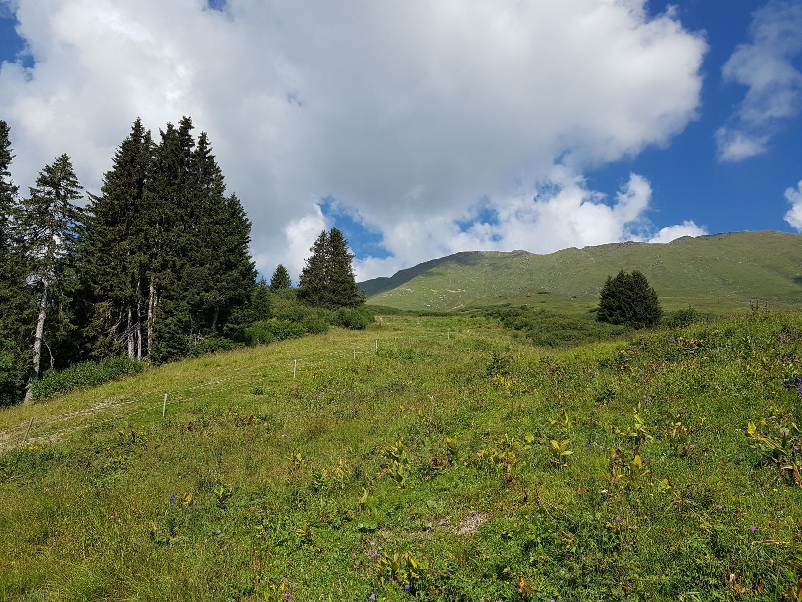 Die Gristabfahrt haben wir gar nicht bemerkt und auch die Seablesabfahrt, die hier im Bild ist, hätten wir fast übersehen.