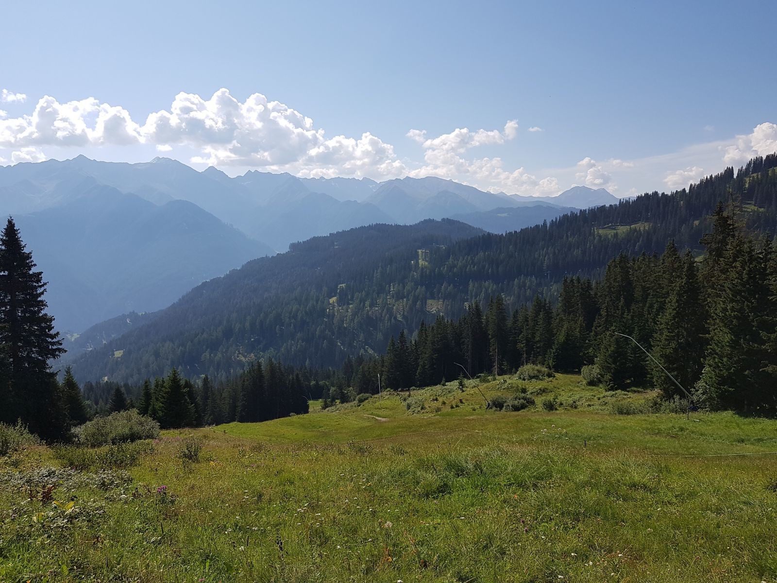 Wären da nicht die Lanzen ;-) Generell ist mir in den Tagen jetzt aber aufgefallen, dass der Großteil der Abfahrten in SFL ziemlich natürlich sind und halbwegs artenreiche Vegetation haben.
