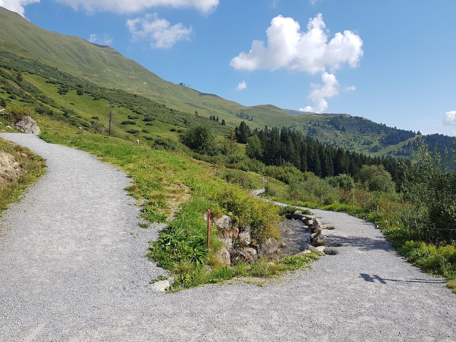 Rückblick. Wir kamen von links, rechts geht der Waalweg zum Leithe Wirt.