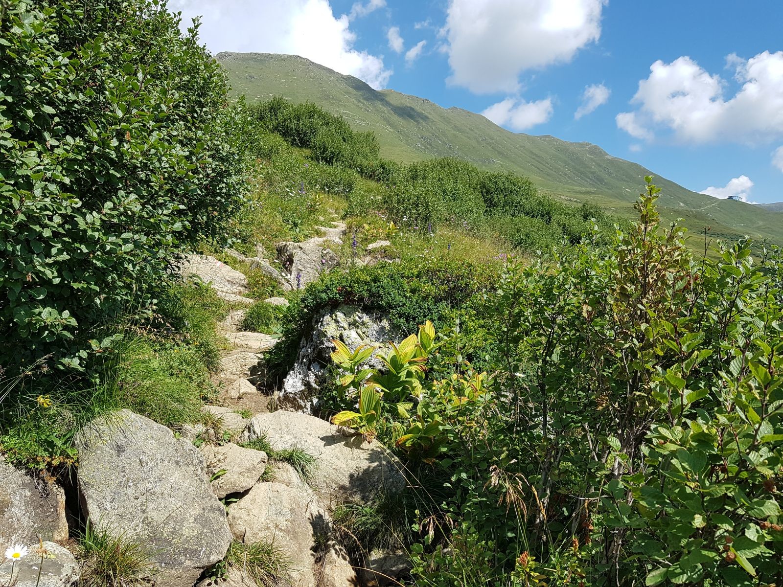 Der Weg war sehr steinig und es war heiß, aber natürlich macht das tausendmal mehr Spaß als dieser Forstweg!