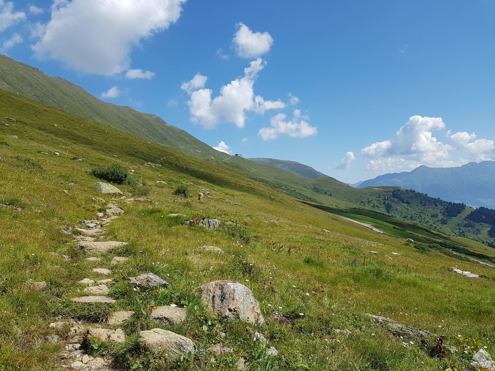 Laut Google Maps heißt dieser folgende Abschnitt "Adlerweg". Es war einfach schön und ich war froh, dass man noch Alternativen zu breiten Weg hat :D Aber als ich dann oben ankam, empfand ich einfach nur eines: Trauer!