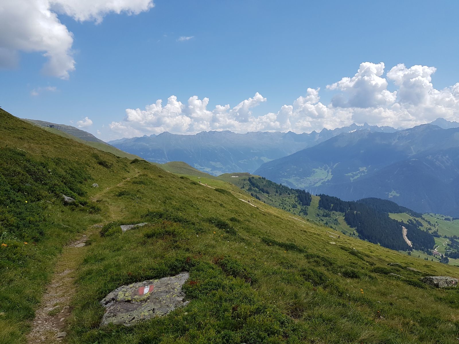 Doch ich mache alles mögliche, um Steige zu gehen. Ich stieg kurz auf Richtung Brunnenkopf und bog dann gleich wieder rechts ab auf einen Zubringersteig zum Quellenweg. Das ist Wandern! :D