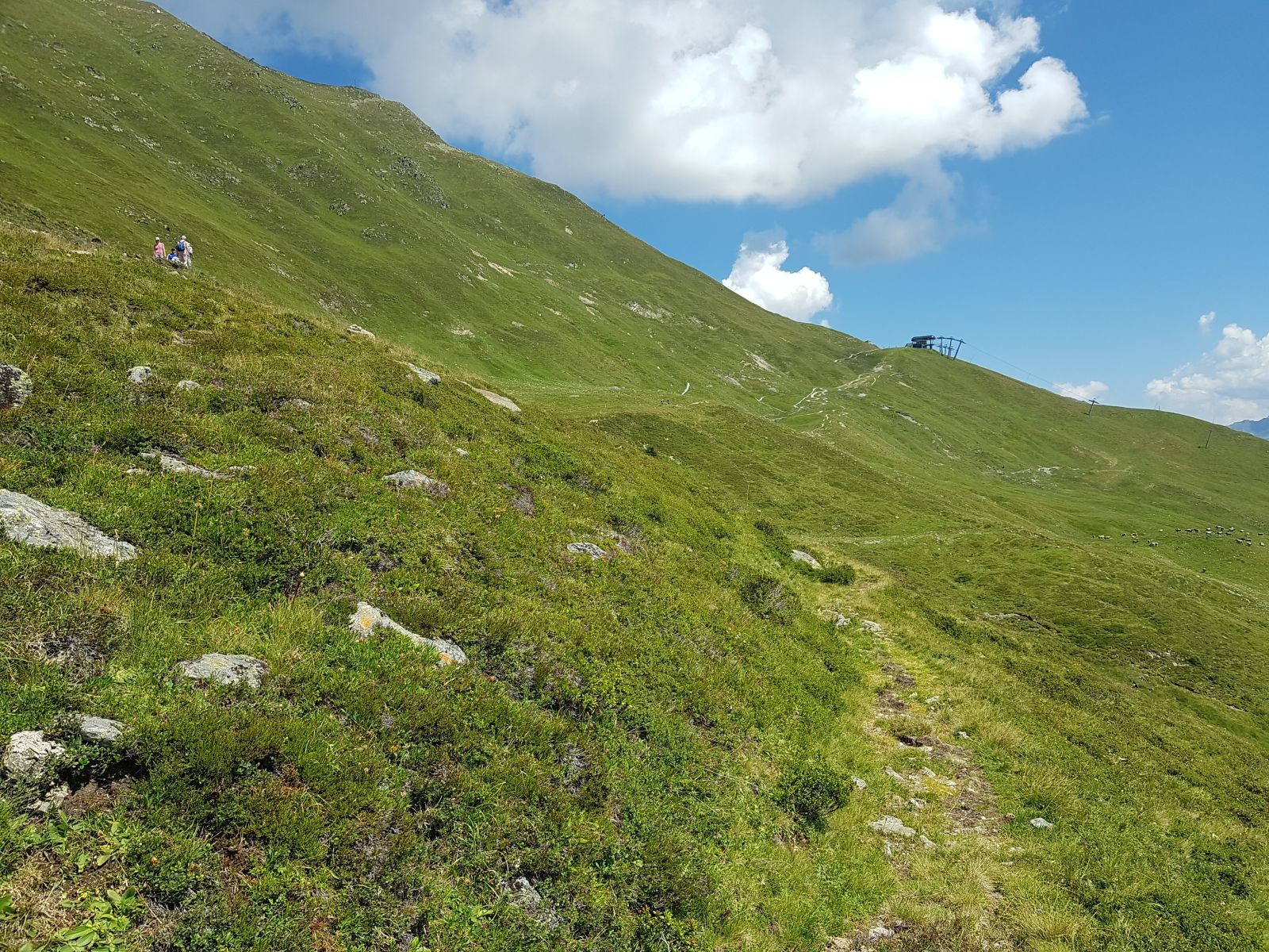 Es gibt auch Abschnitte, wo es 3 Wege gibt. Hier laufe ich auf dem alten, nicht mehr genutzten Steig. Er wurde mit Grasbrocken ausgelegt, damit er ja schnell verwächst und ihn keiner mehr gehen kann :(