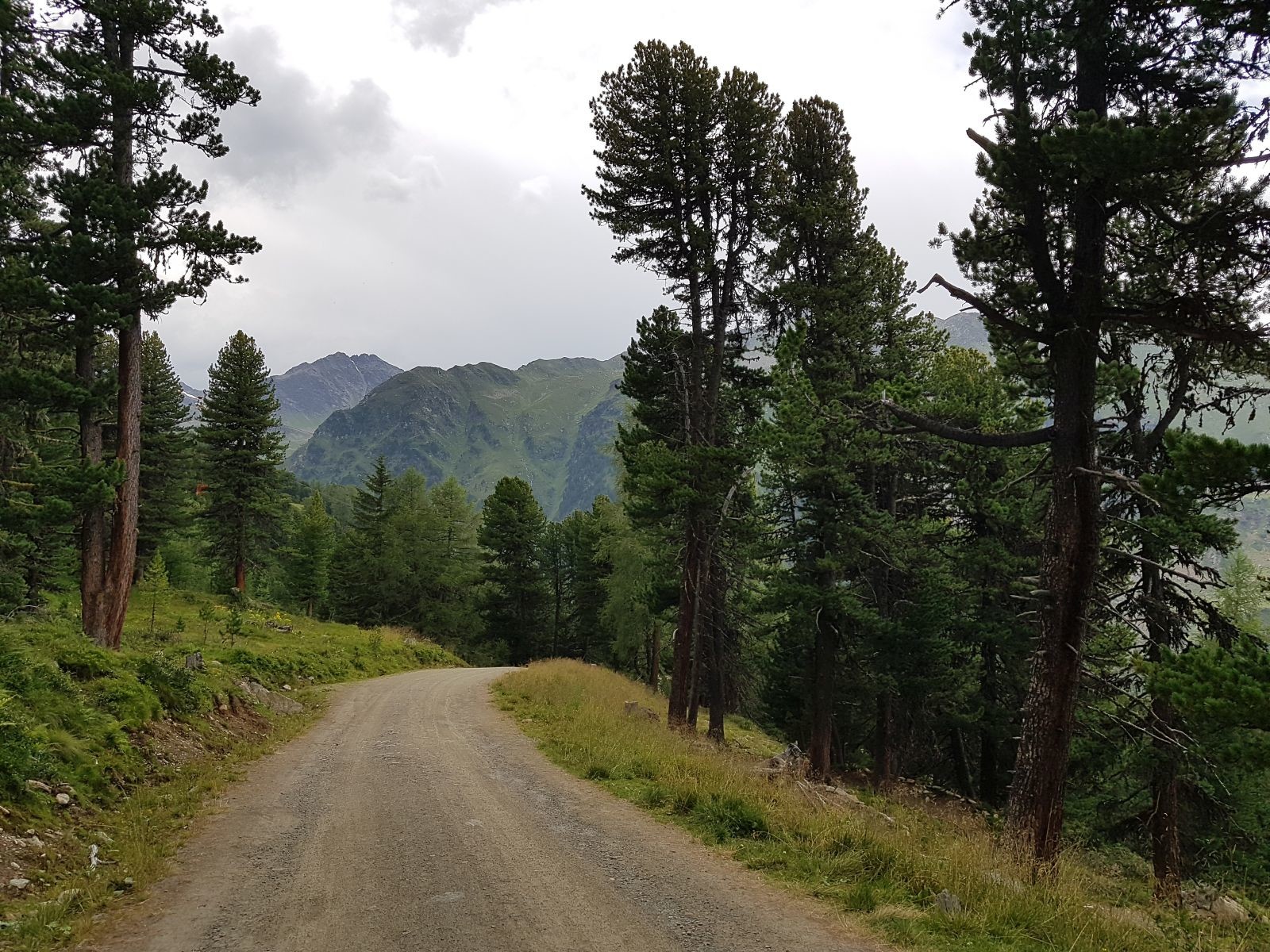 Nun auf dem Forstweg im Zirbenwald. Die Bilder von der Baustelle kommen im Infratopic online. Einerseits mag ich neue Bahnen, aber hier, im alten Zirbenwald, wurde schon einiges zerstört.