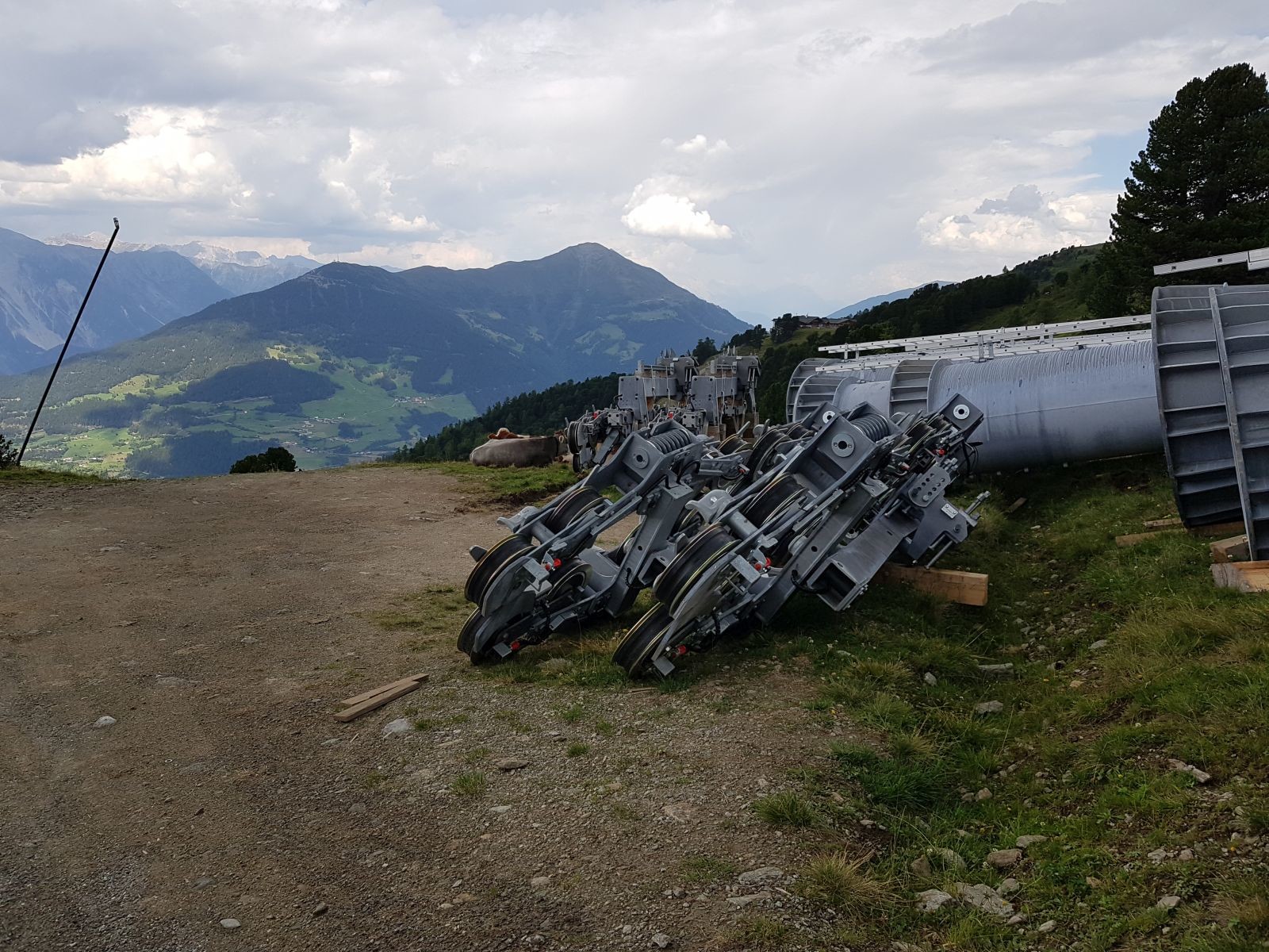 Kühe chillen neben den Rollen und Stützen ;-)
