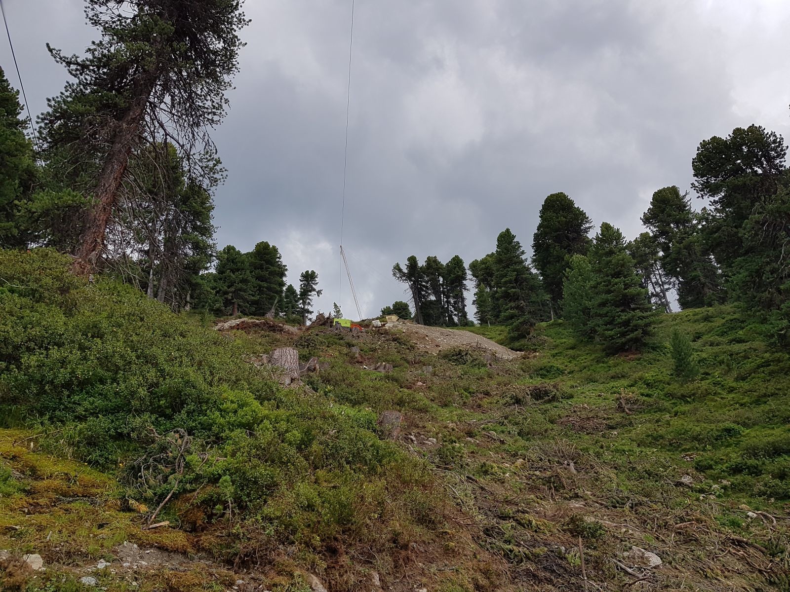 Rodungen Trasse bergwärts