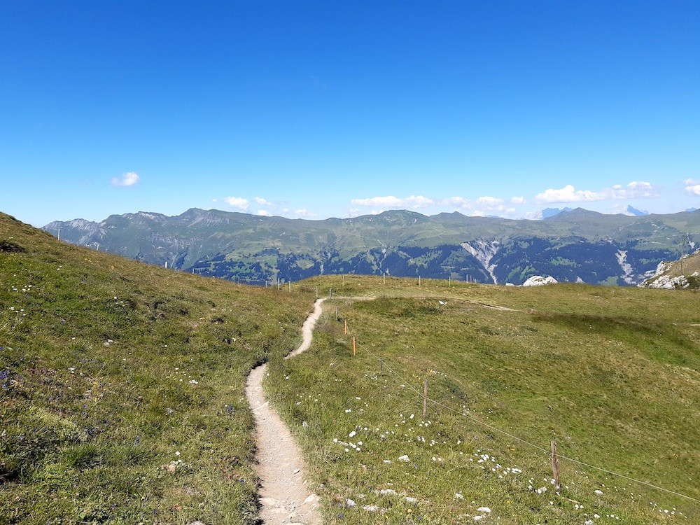Trailverlauf. Auf der gegenüberliegenden Talseite befindet sich das kleine Skigebiet Hochwang.