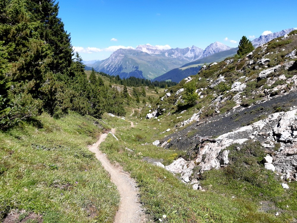 Landschaftlich gefällt mir der Weg extrem gut! Dieser Teil ist schwieriger als der Beginn unmittelbar nach der Bergstation. In diesem Abschnitt ist der Trail sehr schmal und relativ steil (auf Bildern schwer zu zeigen)