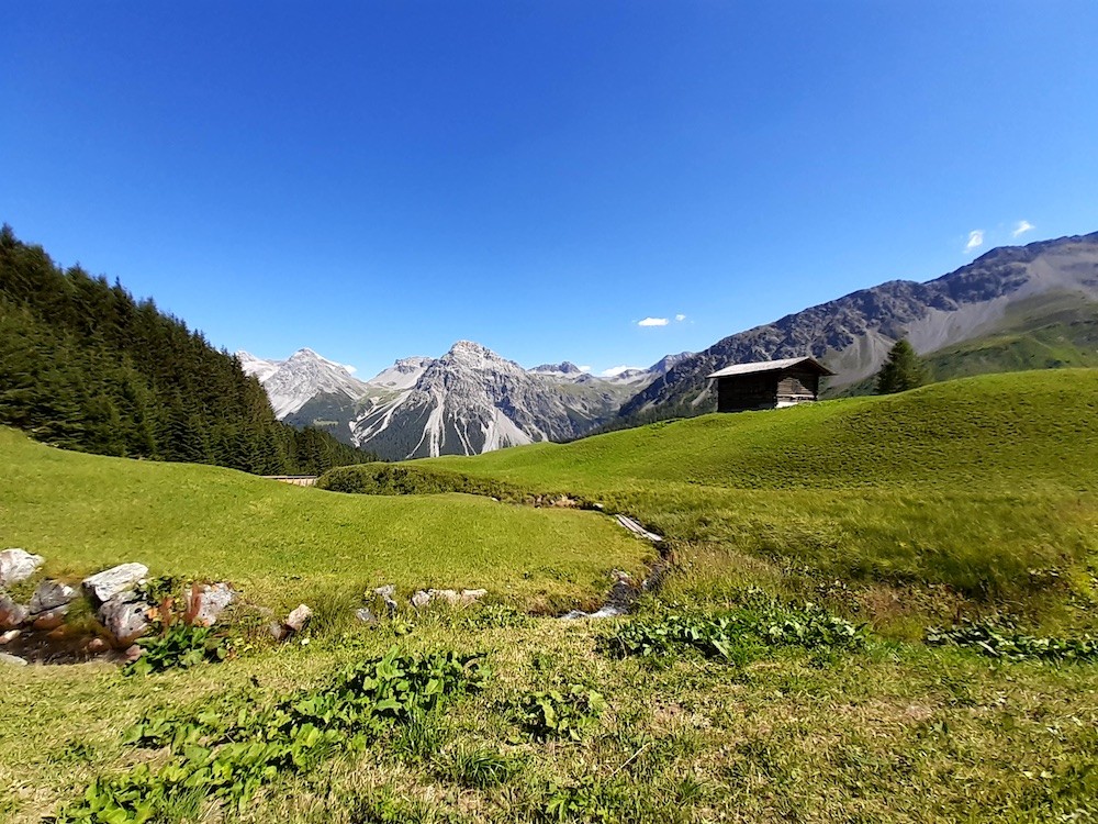Im Bereich der Talstation Carmenna talwärts schauend