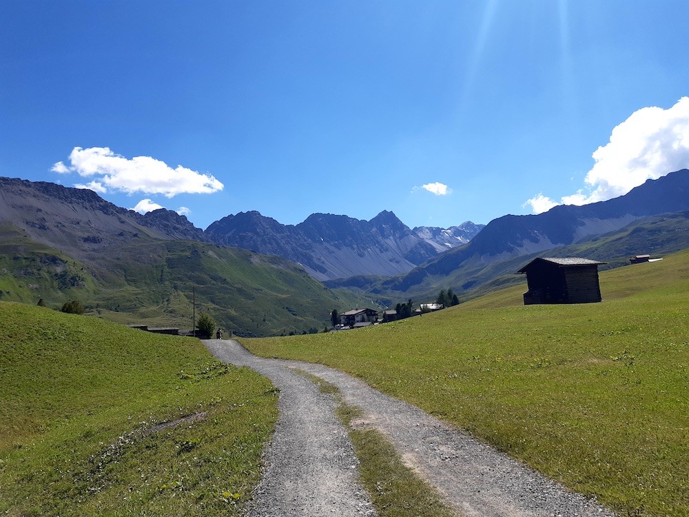 Im Bereich der Talstation Carmenna. Durch das Tal im Hintergrund verläuft der Trail vom Rothorn (Lenzerheide) her kommend.