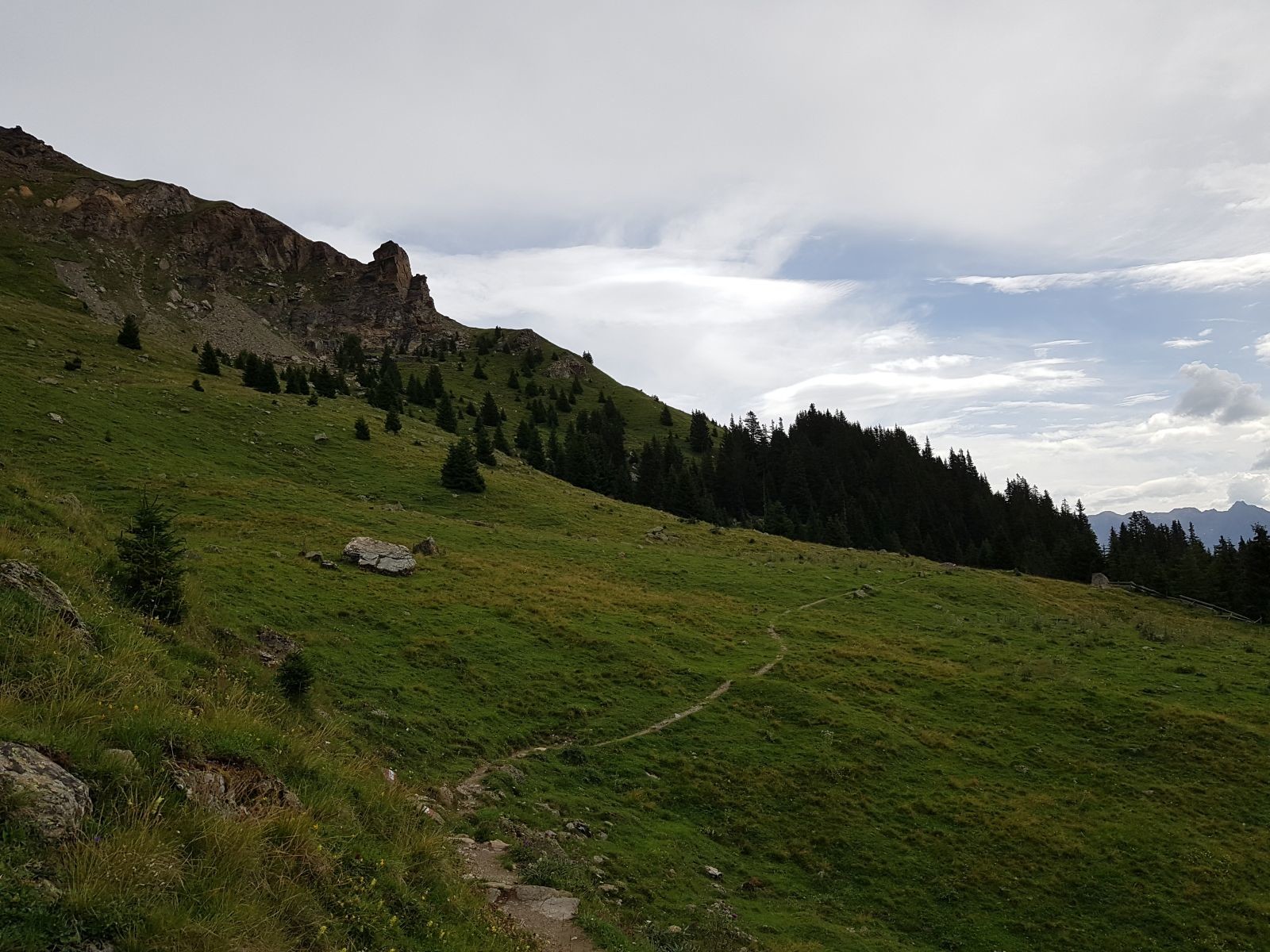 Wir laufen vorbei am Schadenstock, an dem ebenfalls ein Steig aufs Schönjoch geht. Auch hier hört man auf den Almen überall die Murmelis pfeifen ;-)