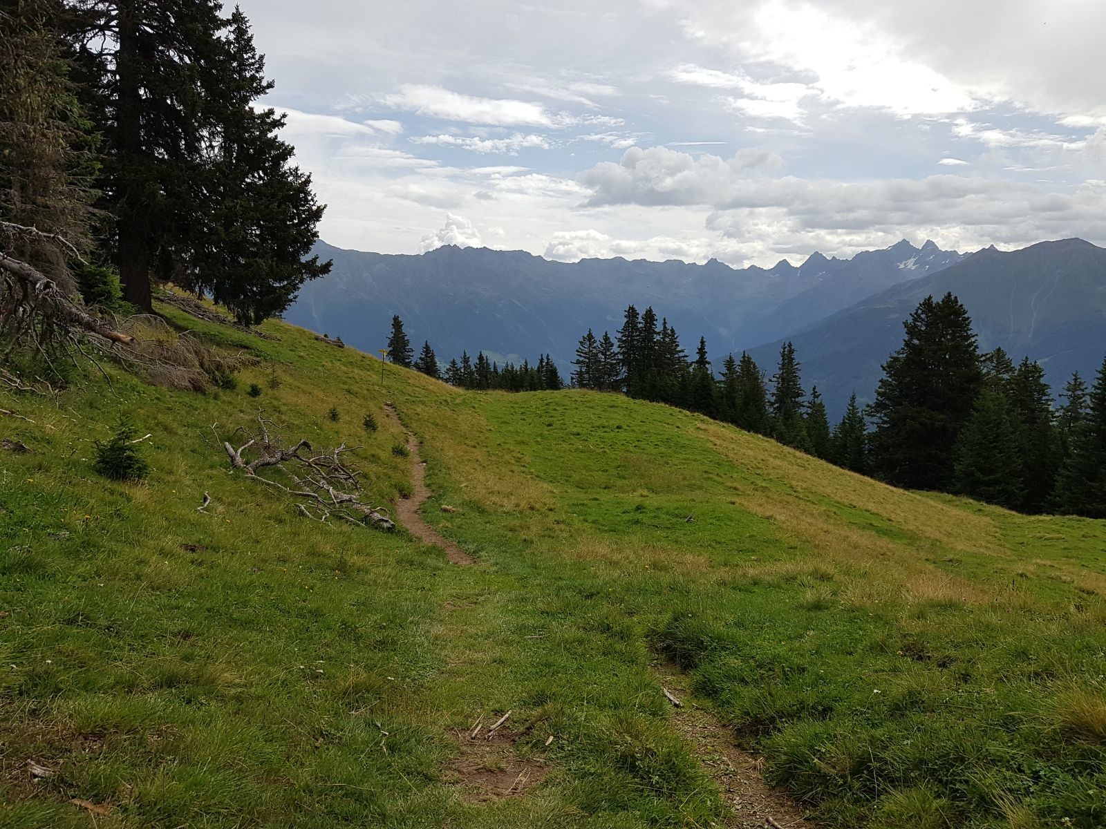 Vorne sieht man den Abzweig auf den Schadenstocksteig. Wir gehen gerade aus weiter. Das Wetter ist noch gut, aber hinter uns kommen schon die ersten dunklen Wolken. Mal sehen!