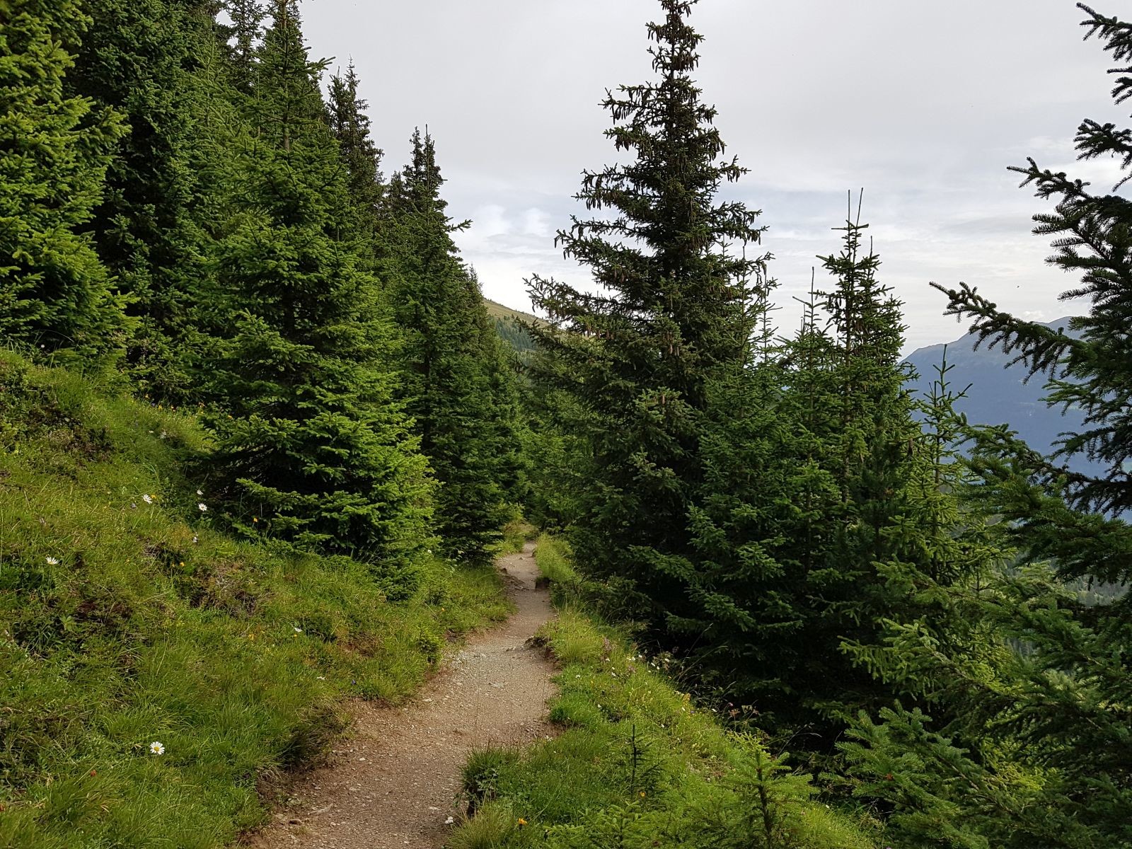 Wahrlich ein toller Weg