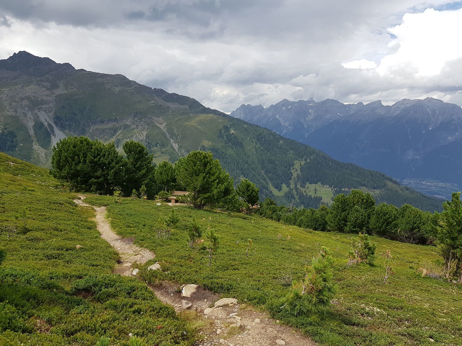 Der Naggalunsteig hat eine angenehme Steigung führt gemütlich durch die letzten freistehenden Zirben.