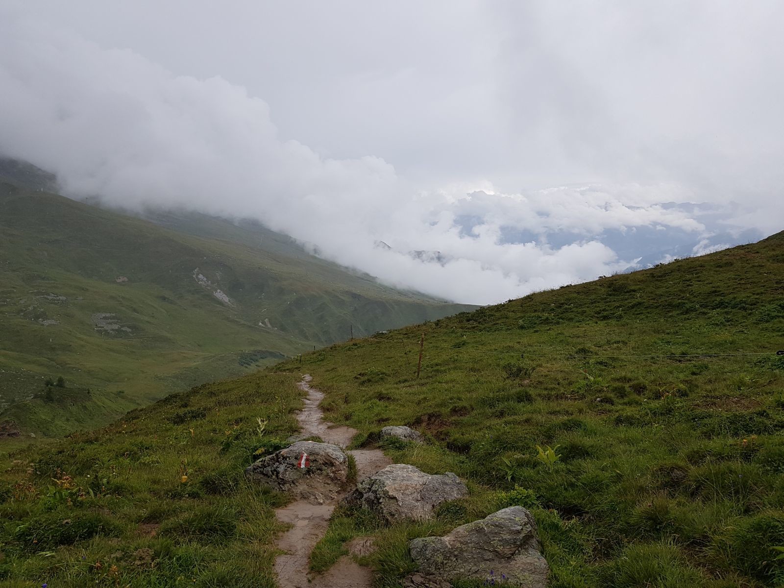 Nach der Auffahrt mit der Lazidbahn nahmen wir also den Steig über das Erzköplfe wieder nach unten. Der Pfad war natürlich nass und hin und wieder sumpfig und rutschig, was aber kein wirkliches Problem darstellte.