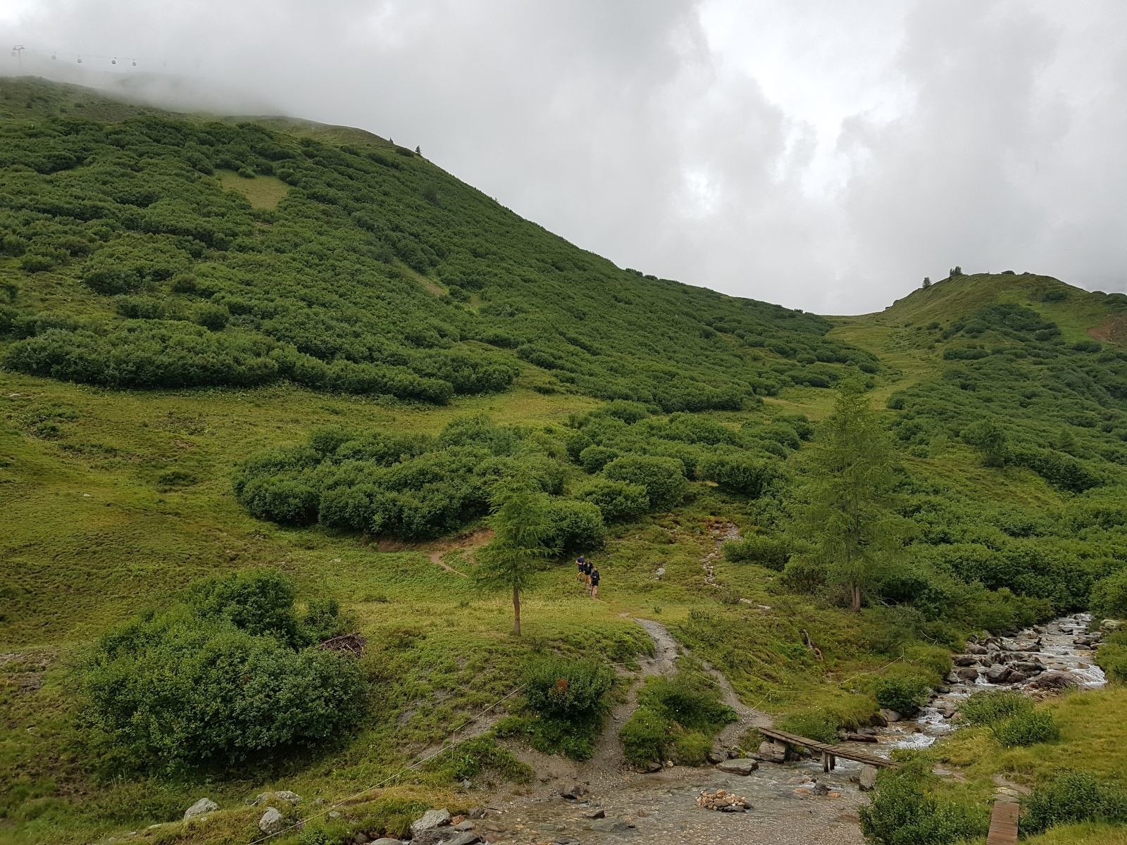 Rückblick auf den Steig und das Erzköple. Man sieht auch die Skiabfahrt, wenn man sich an den gerodeten Büschen orientiert.