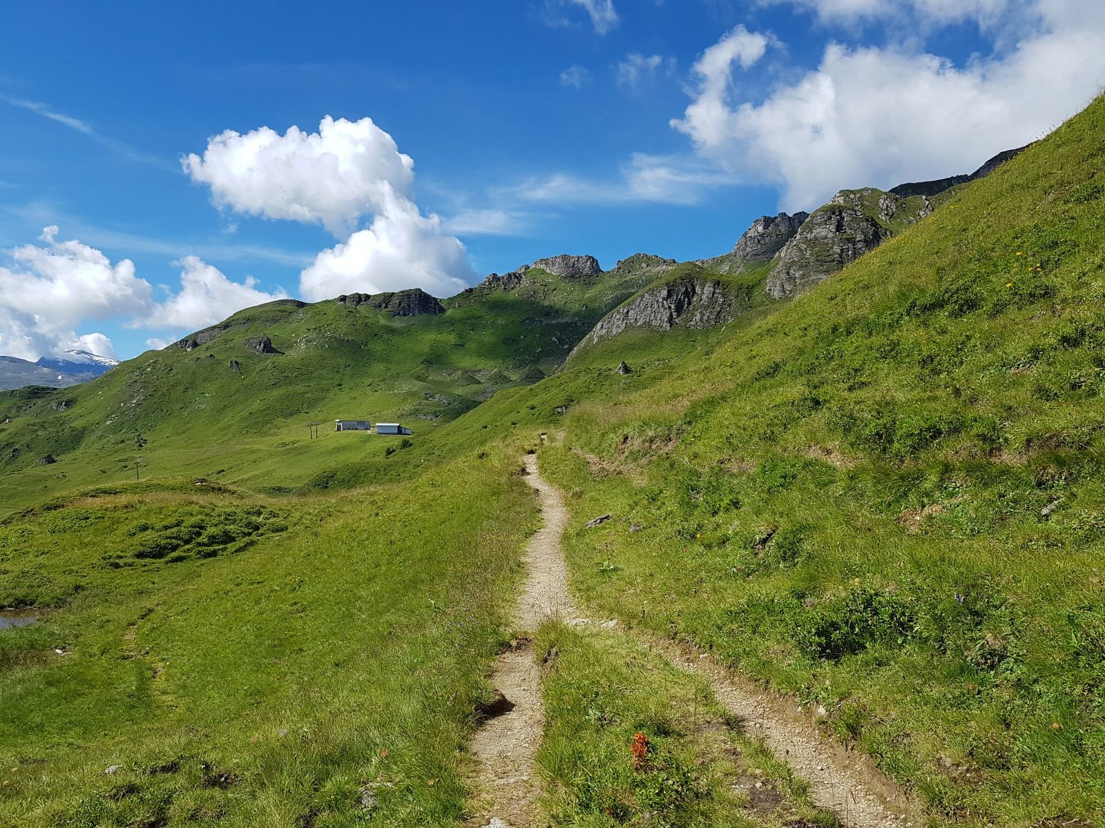Zuerst laufen wir eine kleine Runde in Richtung der Mauskarspitze