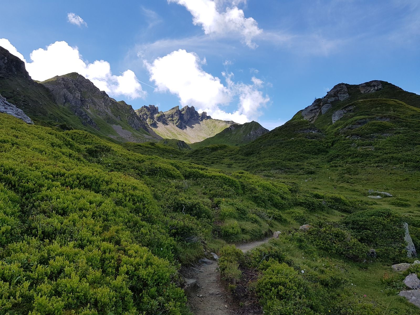 Wir laufen weiter mit Blick auf die Bergspitzen rund um die Hohe Scharte