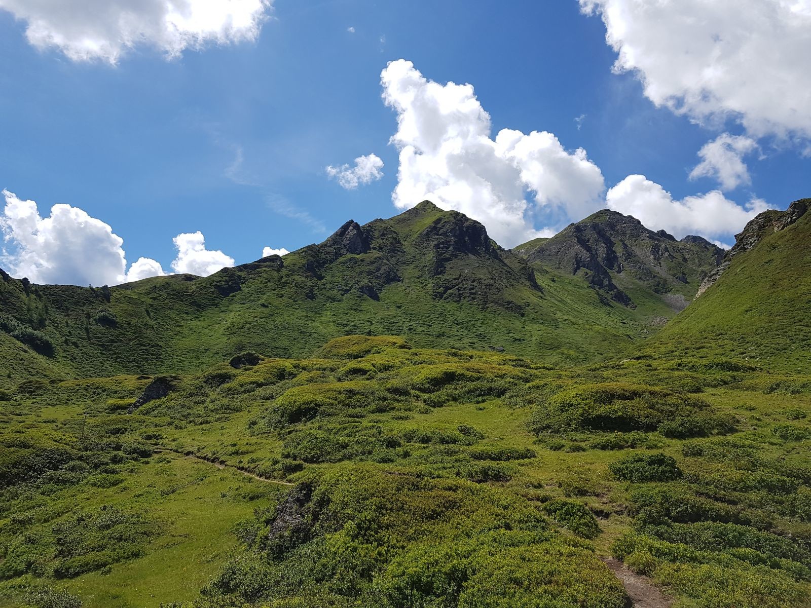 Traumhafte, grüne Hölle!