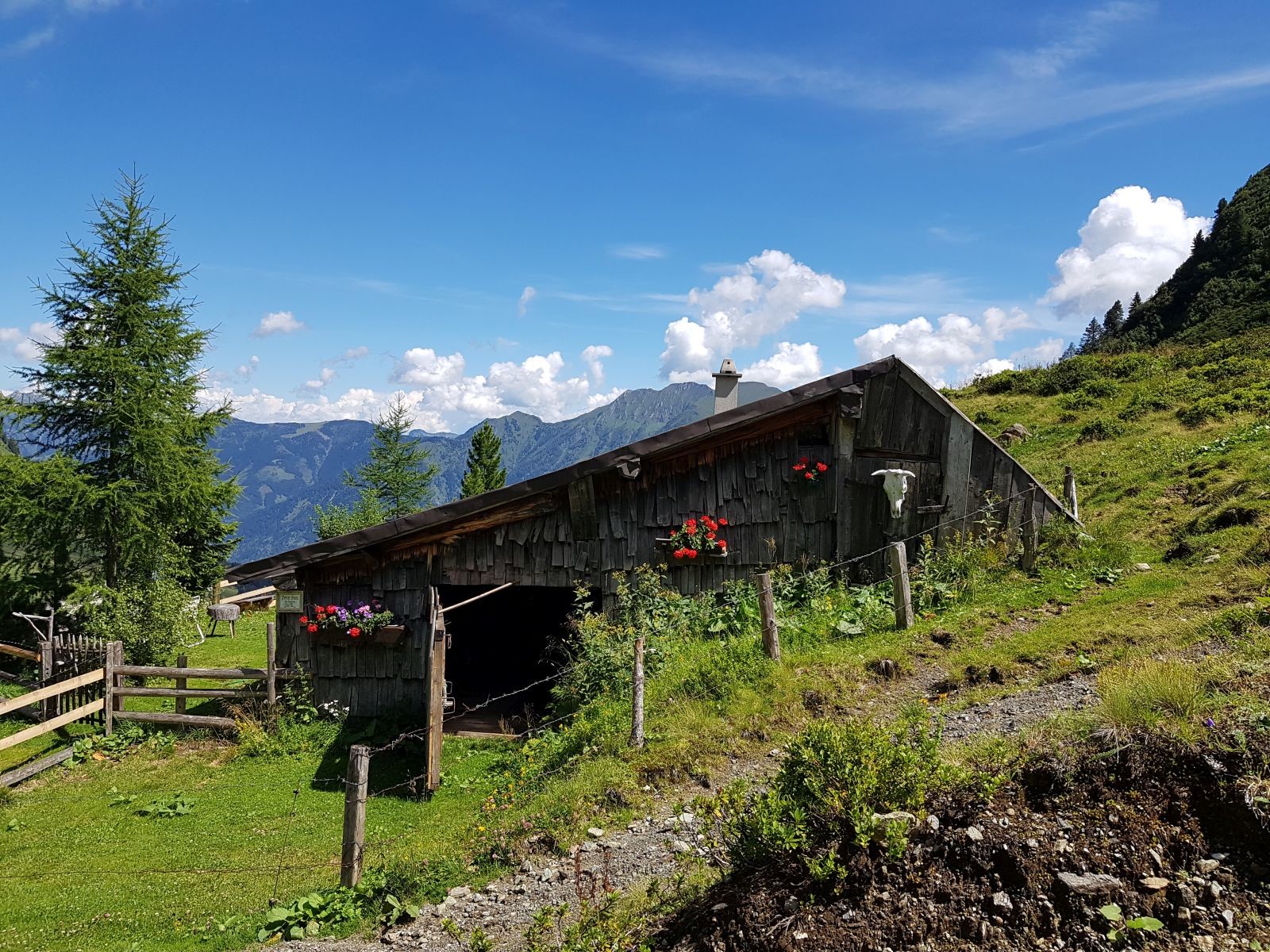 Die erste Alm wird passiert. Dann gibts die Einkehr und wir springen bei den Bildern zu dem Steig zur Maurachalm.