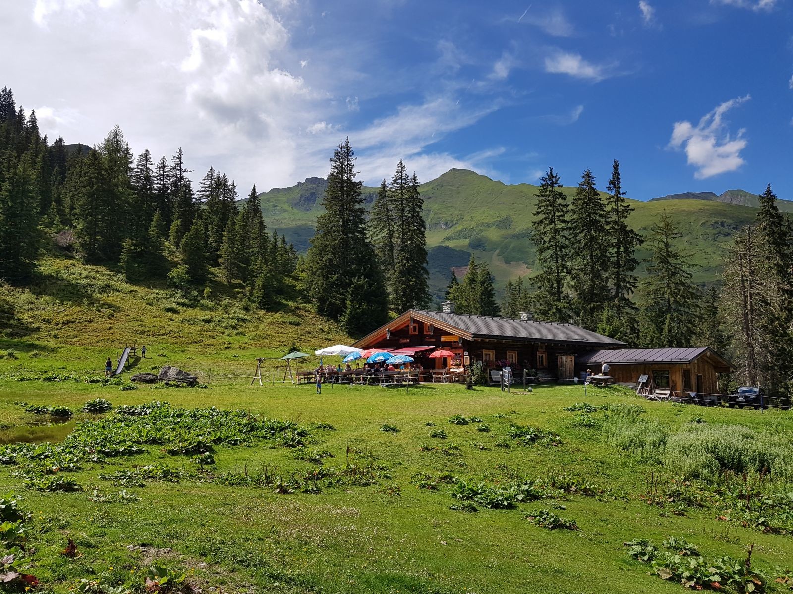An dessen Ende die urige Maurachalm liegt.