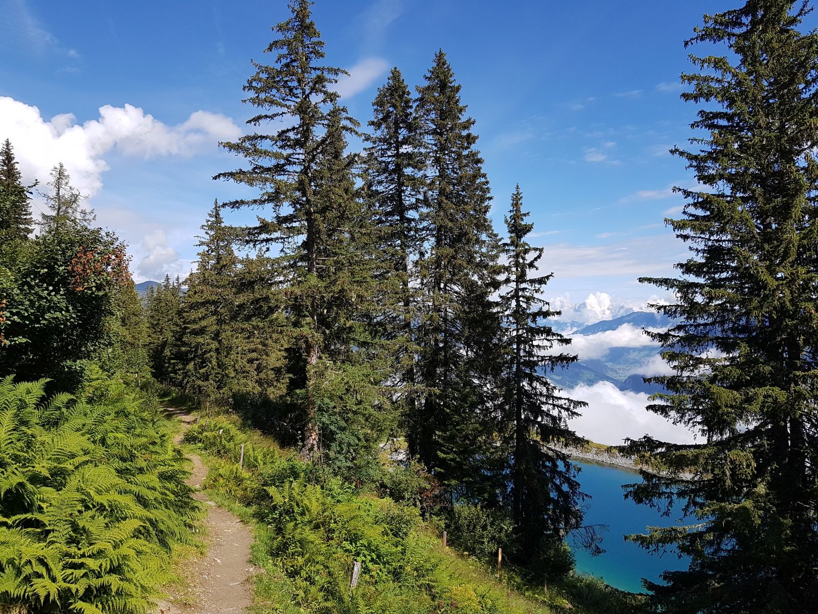 Der schöne Steig zur Stubneralm führt auch am Speichersee vorbei