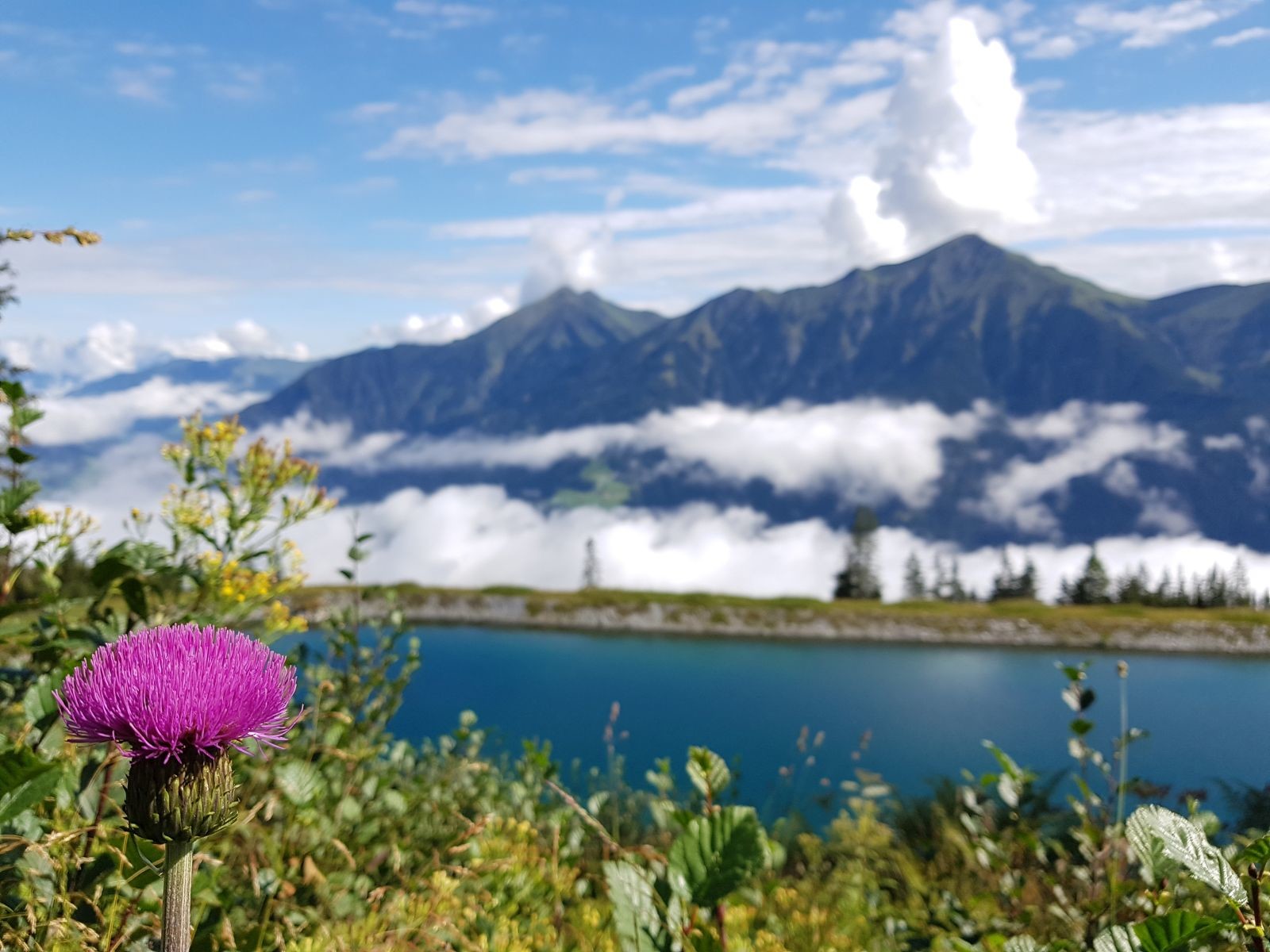 So, mit anderem Fokus gefällt mir das Bild sogar noch besser ;-)
