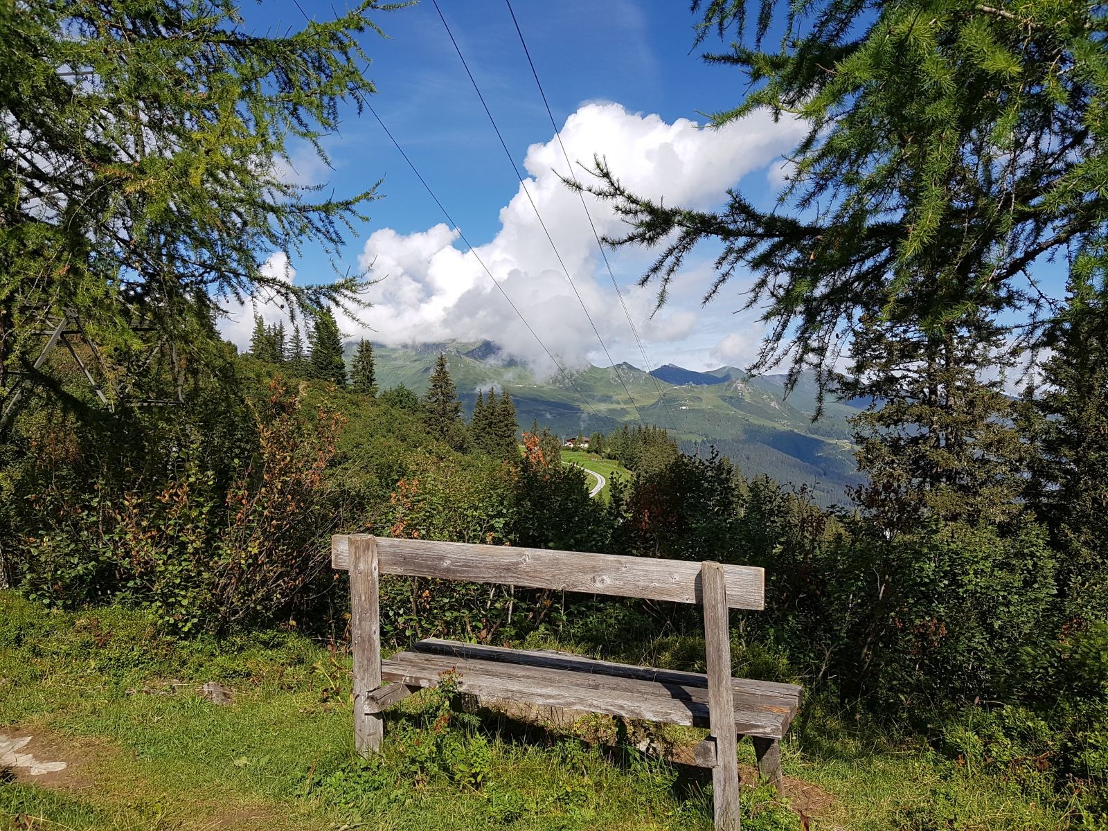 Wer meine Berichte stets gelesen hat, der kennt dieses Motiv bereits! Blick auf die Stubneralm mit der Schlossalm im Hintergrund