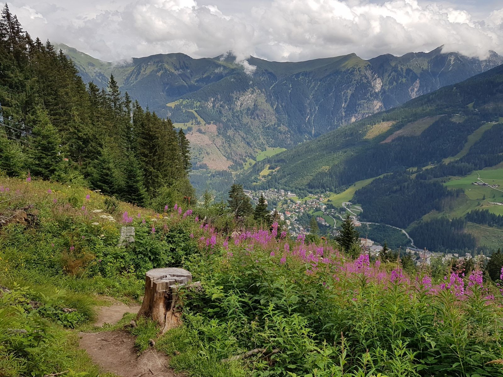 Mal durch Wälder, mal durch ehemalige Wälder schlängelt sich der meist steile Pfad nach unten. Rund um die Bahn scheint es vor einiger Zeit mal einen Sturm gegeben zu haben, der einiges an Holz umgeworfen hat. Wald ist bis jetzt keiner nachgewachsen. Weiß jemand, wann das passiert ist?
