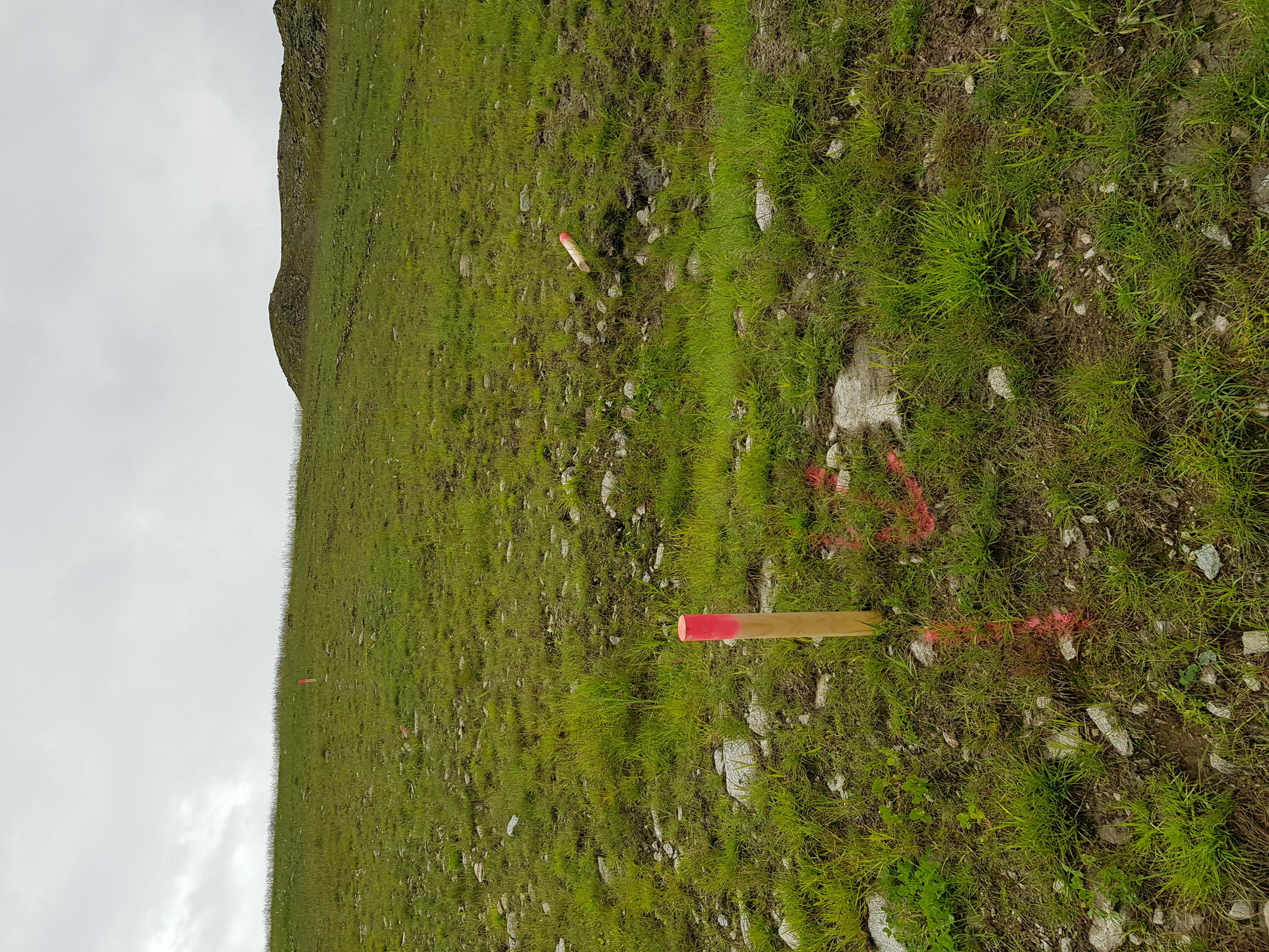 Mehrere Markierungen mitten auf der Plazörabfahrt. Aber für was?