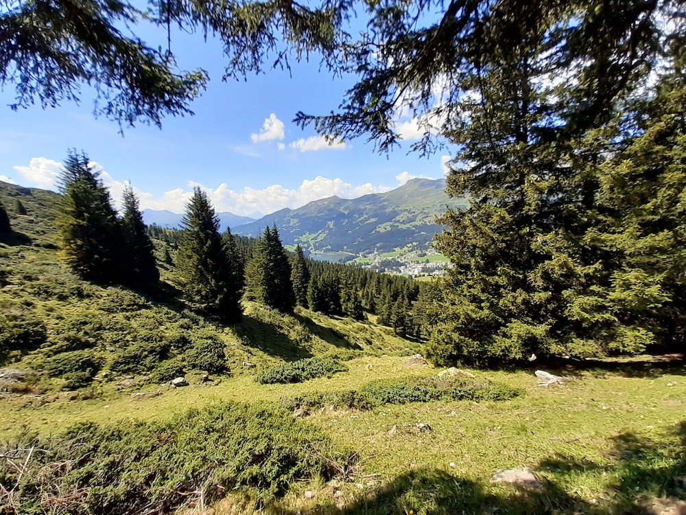 Am Waldrand befindet sich eine Sitzbank mit herrlichem Ausblick zum Heidsee.
