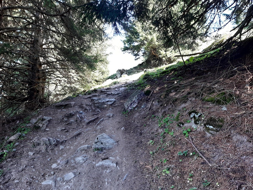 Selber Standort, nun aber nach oben schauend.