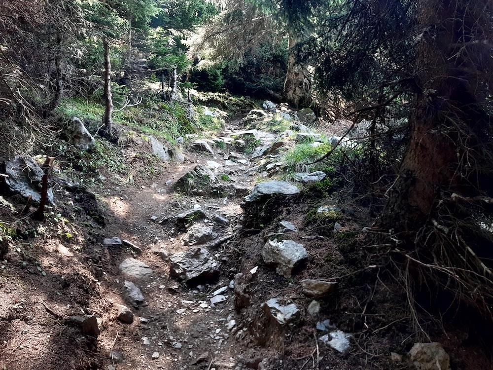 Der Trail ist schon stark verblockt.  Beim erstmaligen Befahren vor etwa zwei Jahren hatte ich meine liebe Mühe. Mittlerweile klappt die Abfahrt gut (teilweise langsam aber ohne Bodenkontakt der Füsse).