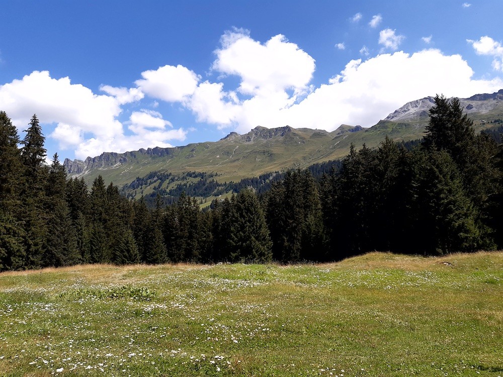 Kurz oberhalb der Passhöhe Lenzerheide. Hübsche Wälder und Wiesen sind in diesem Bereich anzutreffen. Rechts der Bildmitte befinden sich am Horizont die Stationen der Urdenbahn und der Sesselbahn Urdenfürggli (oberhalb der rechten Lawinenverbauung).