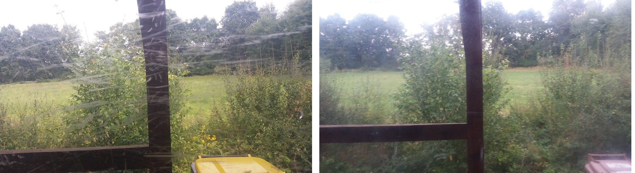 vorher nachher Vergleich.jpg