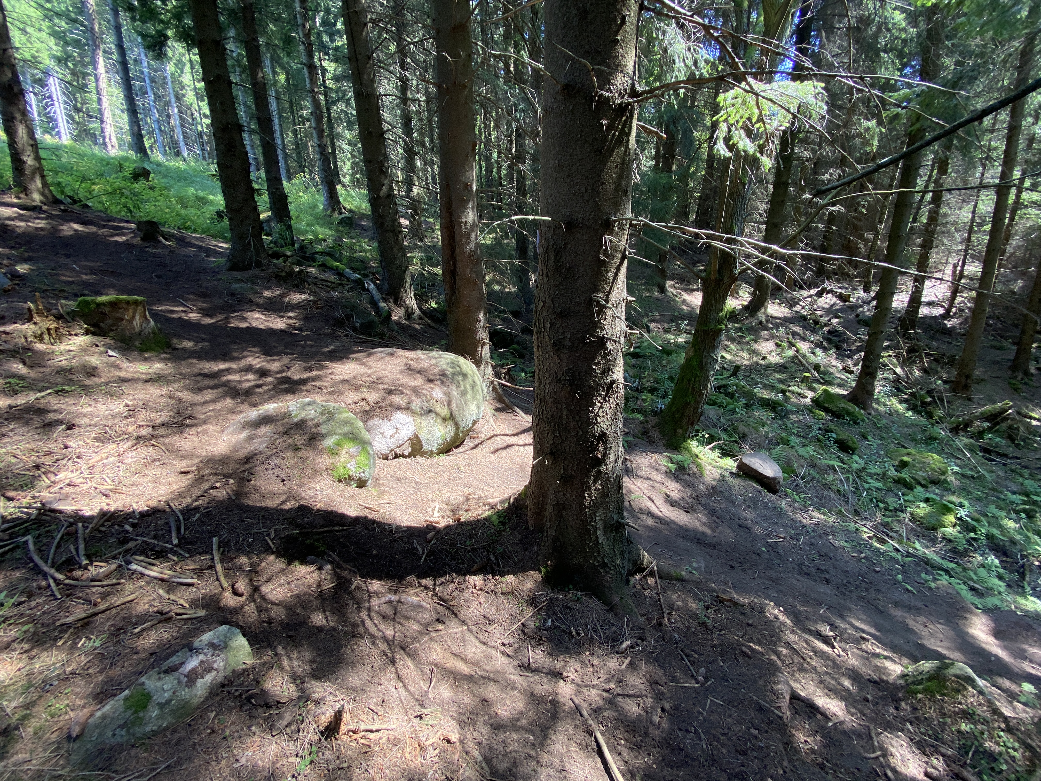 Knifflige Stellen auf CERNY